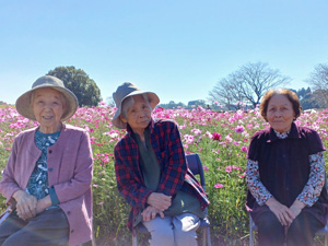 端午の節句